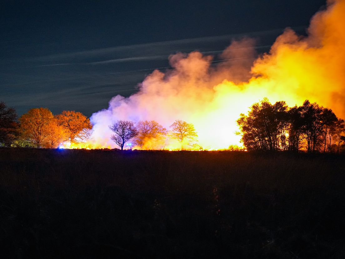Heidebrand bij Baggelhuizerplas in Assen onder controle