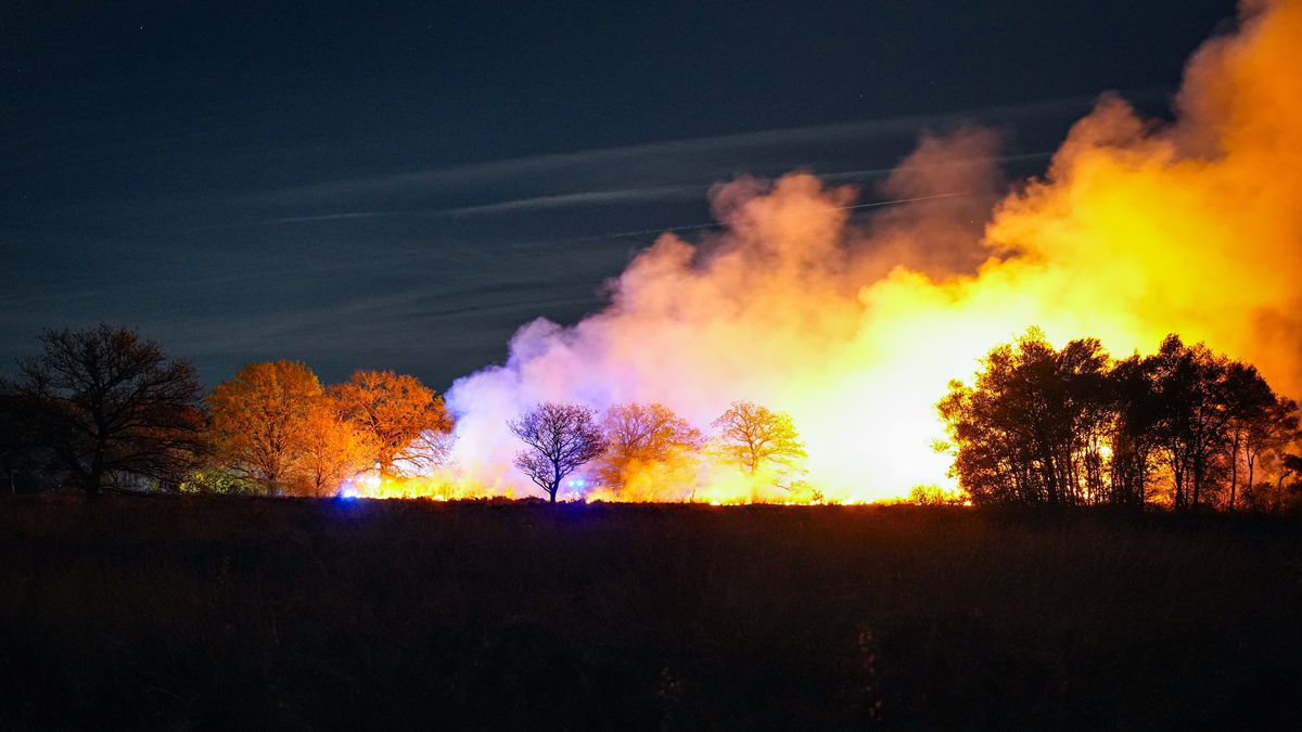 Heidebrand bij Baggelhuizerplas in Assen onder controle