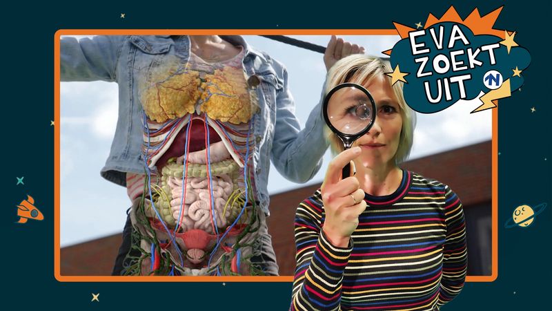 Eva zoekt uit: Waarom gaan we dood? - RTV Noord