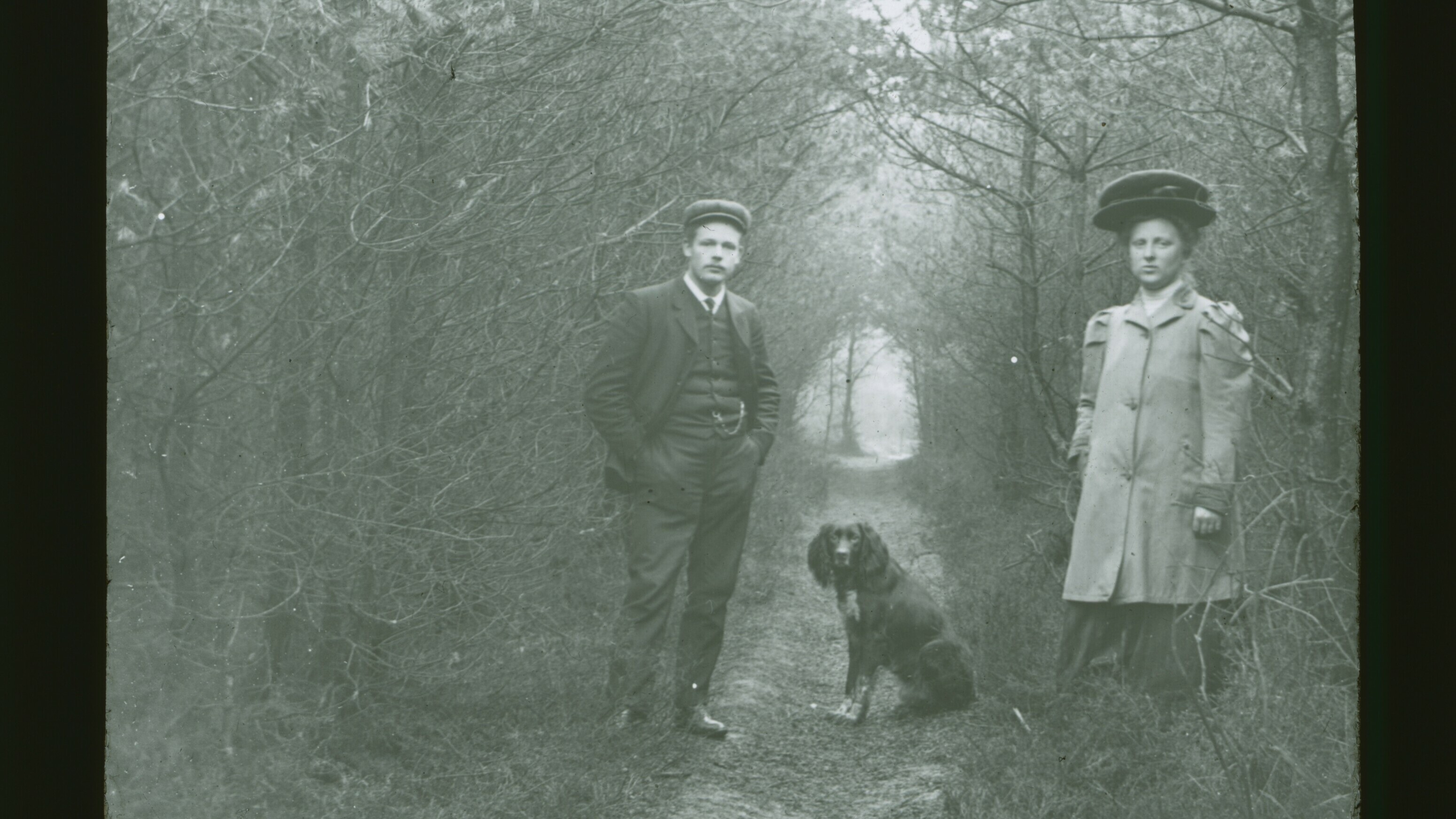 De Meester met de Camera: Egels bij de melk en een bakker met een bocheltje