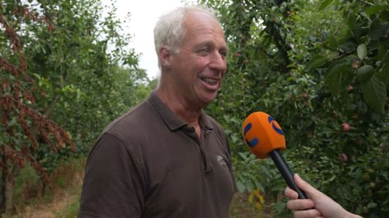 Dit doet de warmte met de pruimen, appels en peren van Theo
