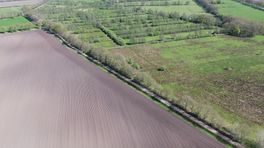 Drenthe raakt zandpaden kwijt: ‘Van de 800 kilometer is nog maar 100 over’