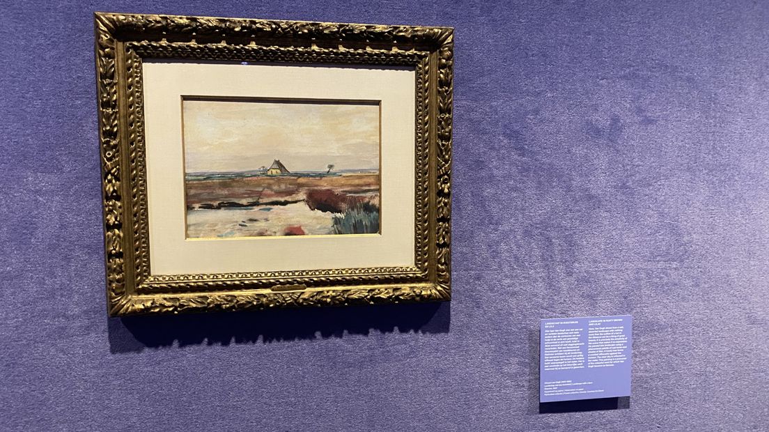 Een van de werken van Vincent van Gogh die getoond wordt in de expositie, dat komt uit een privécollectie.