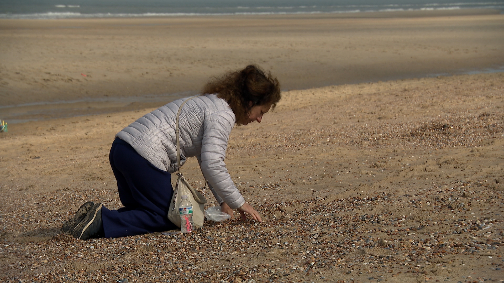 Honderden mensen tellen schelpen op Zeeuwse stranden: 'Het zijn de parels van de zee'