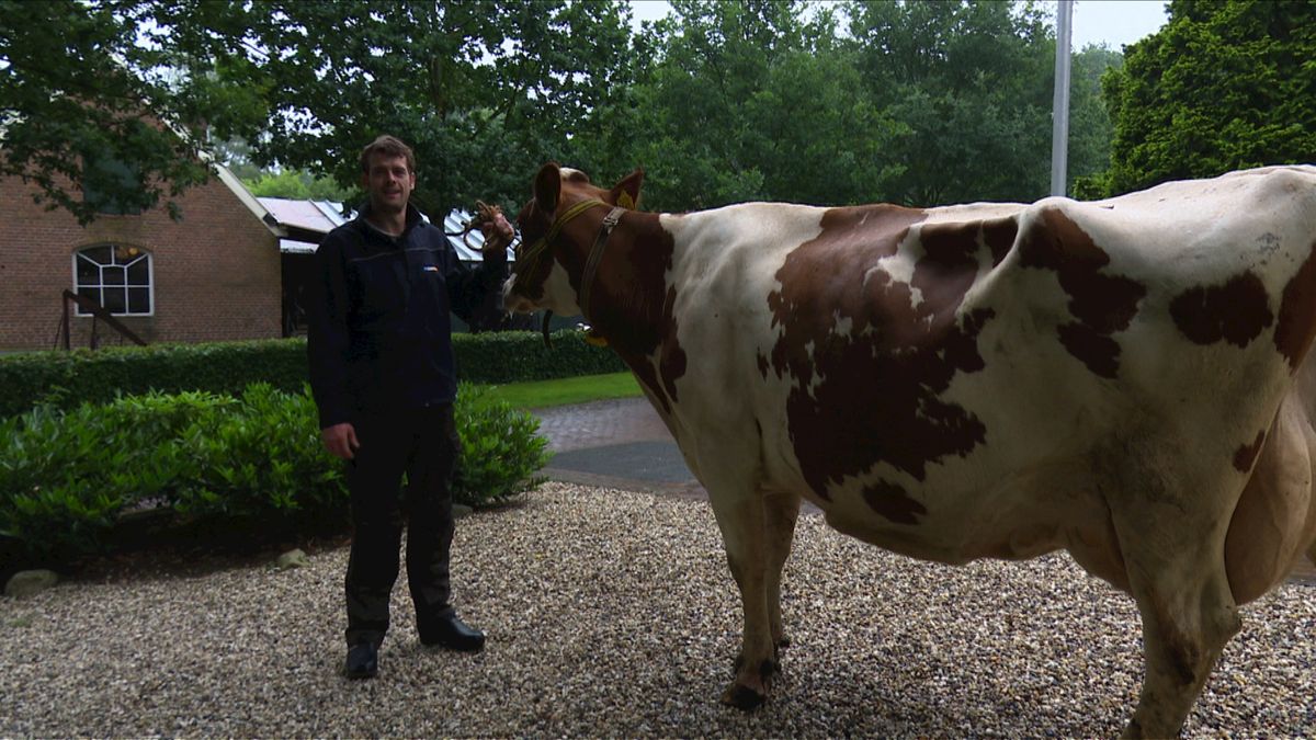 Achter de schermen bij Okkenbroek The Movie