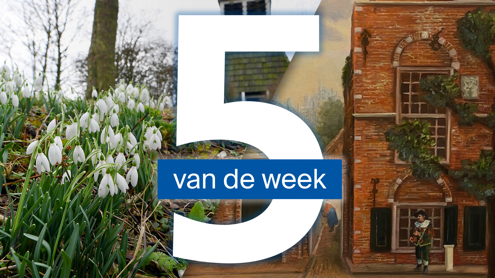 Hoever mag innovatie gaan in de skûtsjewereld? En natuur bloeit al vroeg