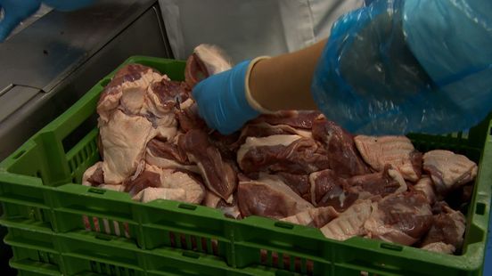 Dwangsommen blijven boven Ermelose eendenslachterij hangen