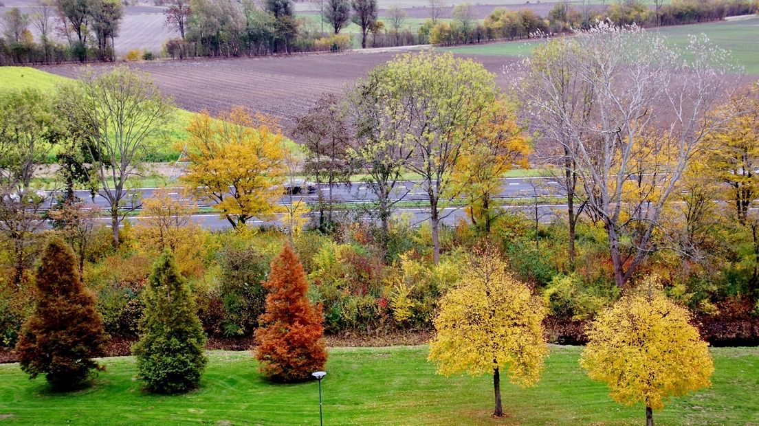 Herfstkleuren in Oost-Souburg