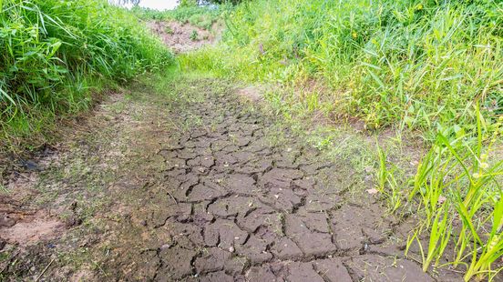 Waterschap Limburg trekt aan de bel: 'Beperk grondwatergebruik zo veel mogelijk' Home
