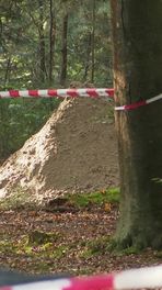Granaten in het Asserbos