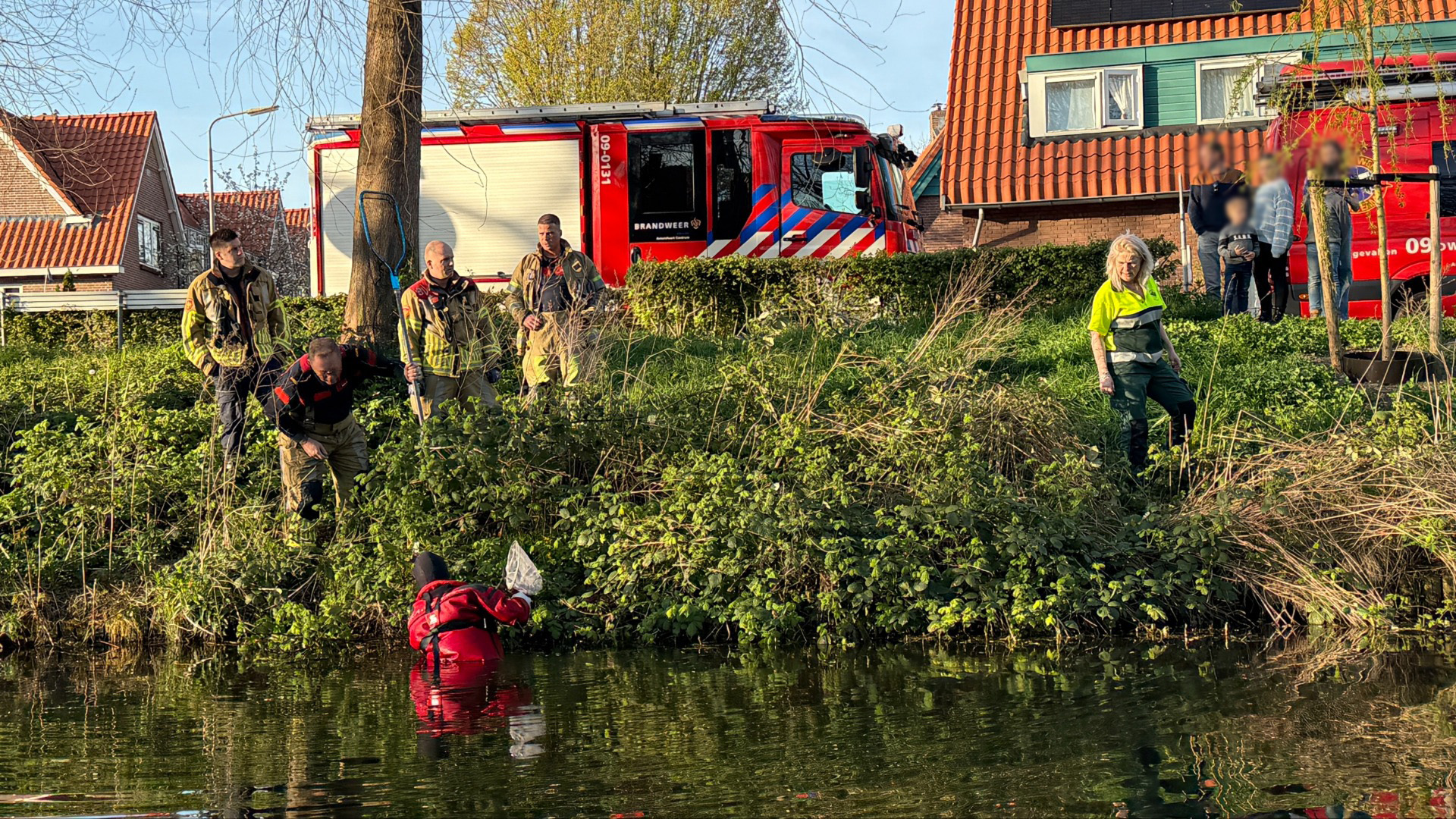 Brandweer en dierenambulance redden 9 jonge eendjes