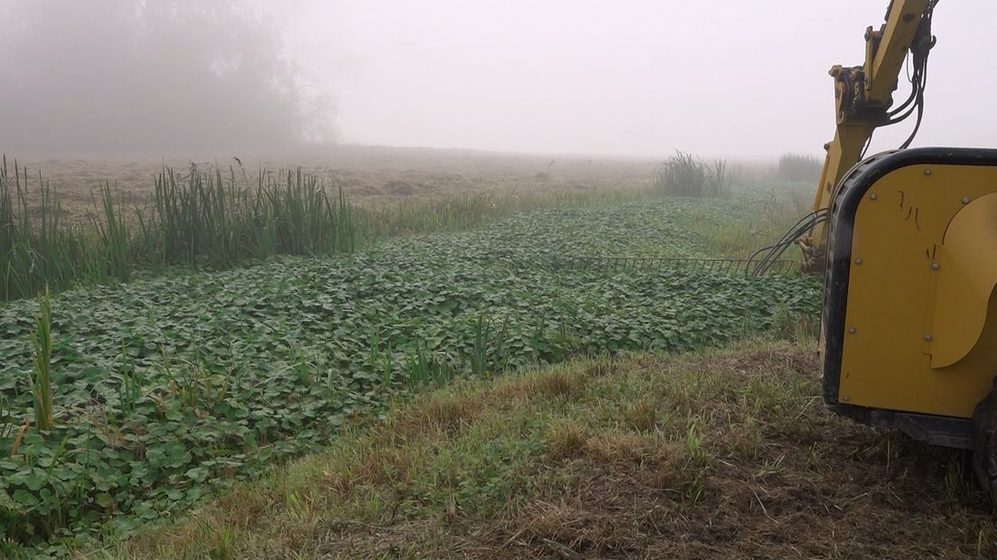 De grote waternavel sluit hele watergangen af