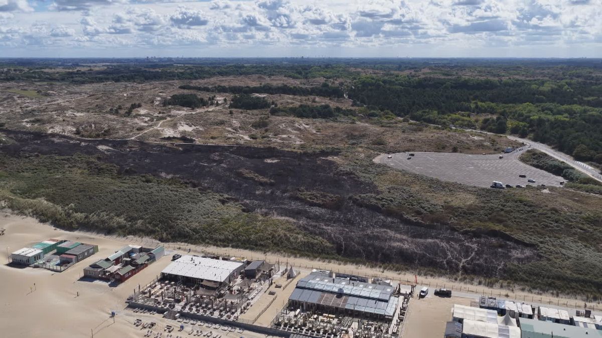 Dit is de schade na grote duinbrand in Wassenaar