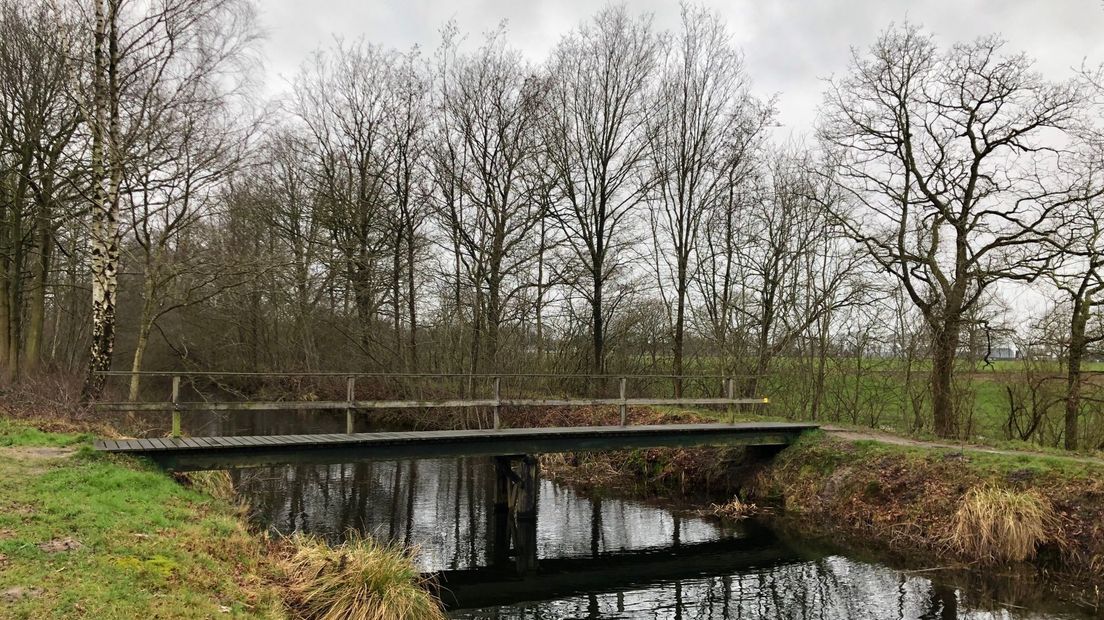 De otter leeft in de buurt van Zeijen