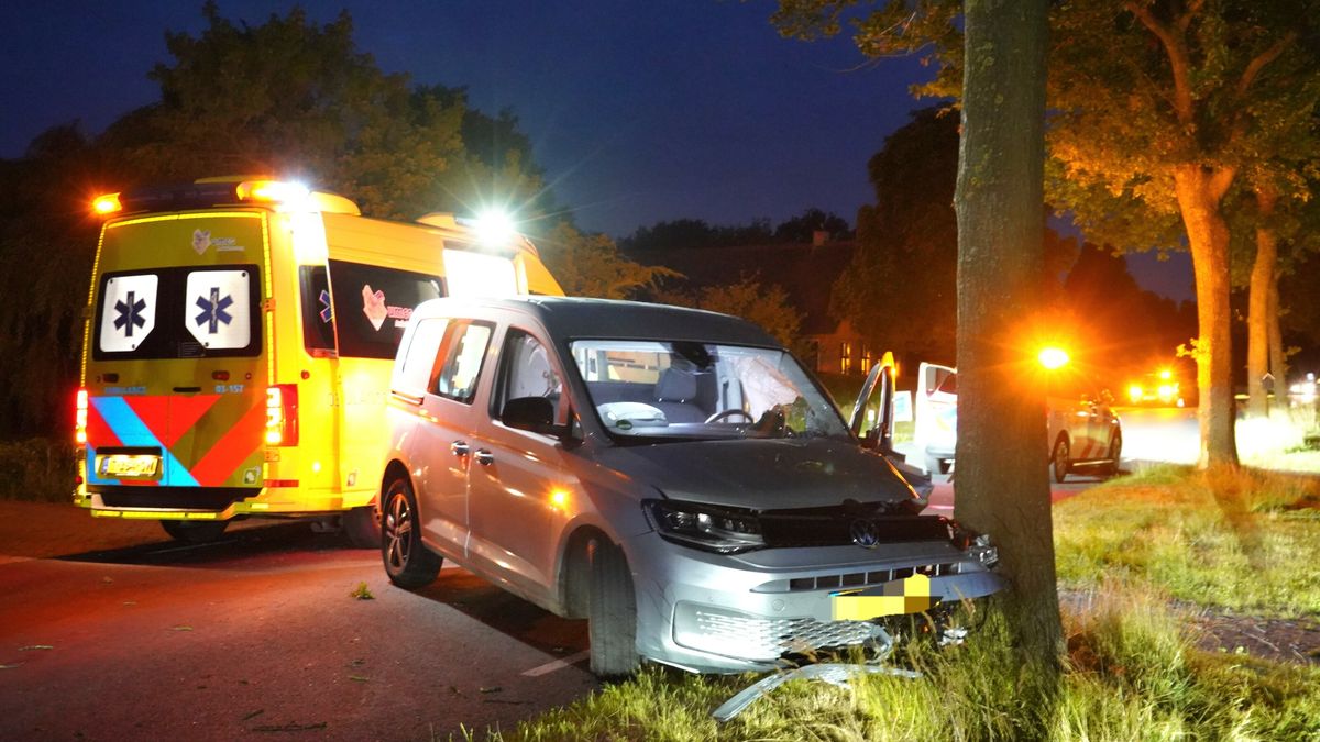 Busje botst op boom, één persoon gewond