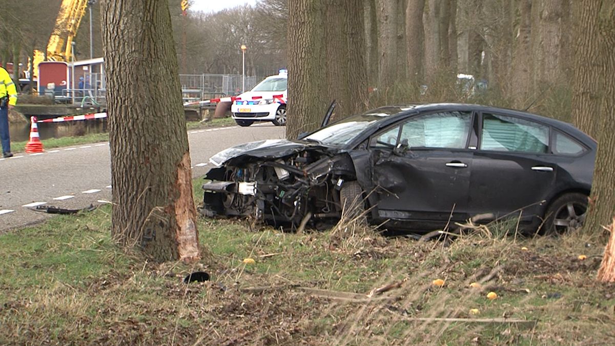Automobilist ramt pompoenenkraampje in Zwiggelte