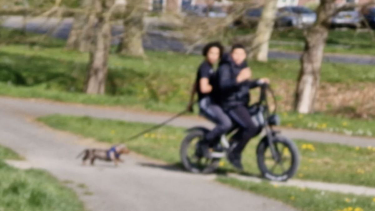 Jongeren slepen hond achter fatbike aan: politie doet onderzoek