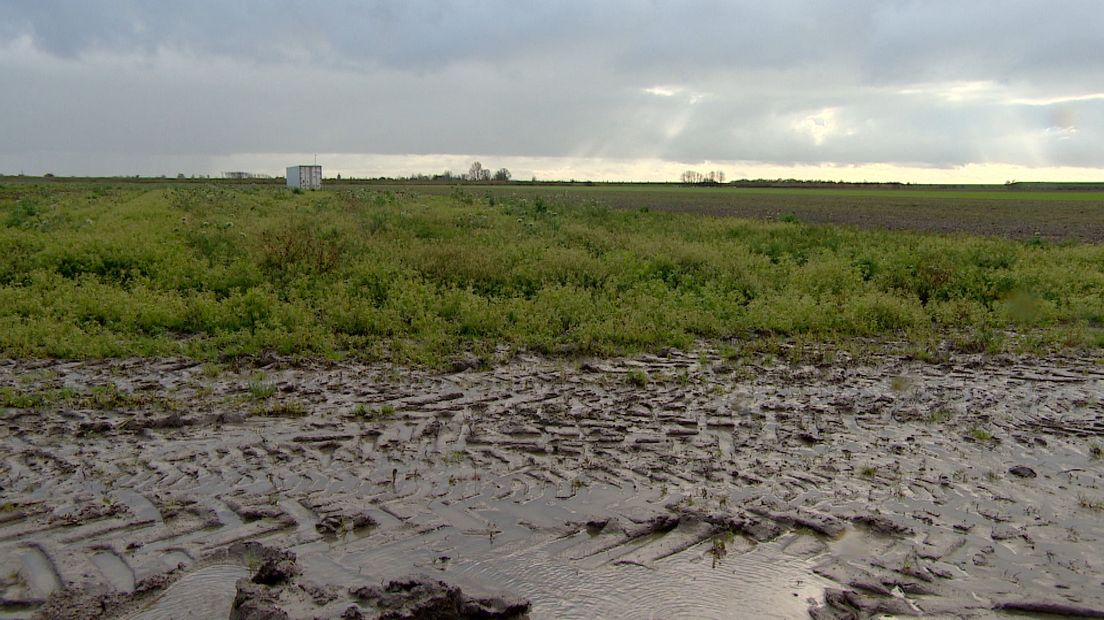 De gevallen regen maakt vooral de bovenlaag zompig. De ondergrond is op veel plekken nog droog