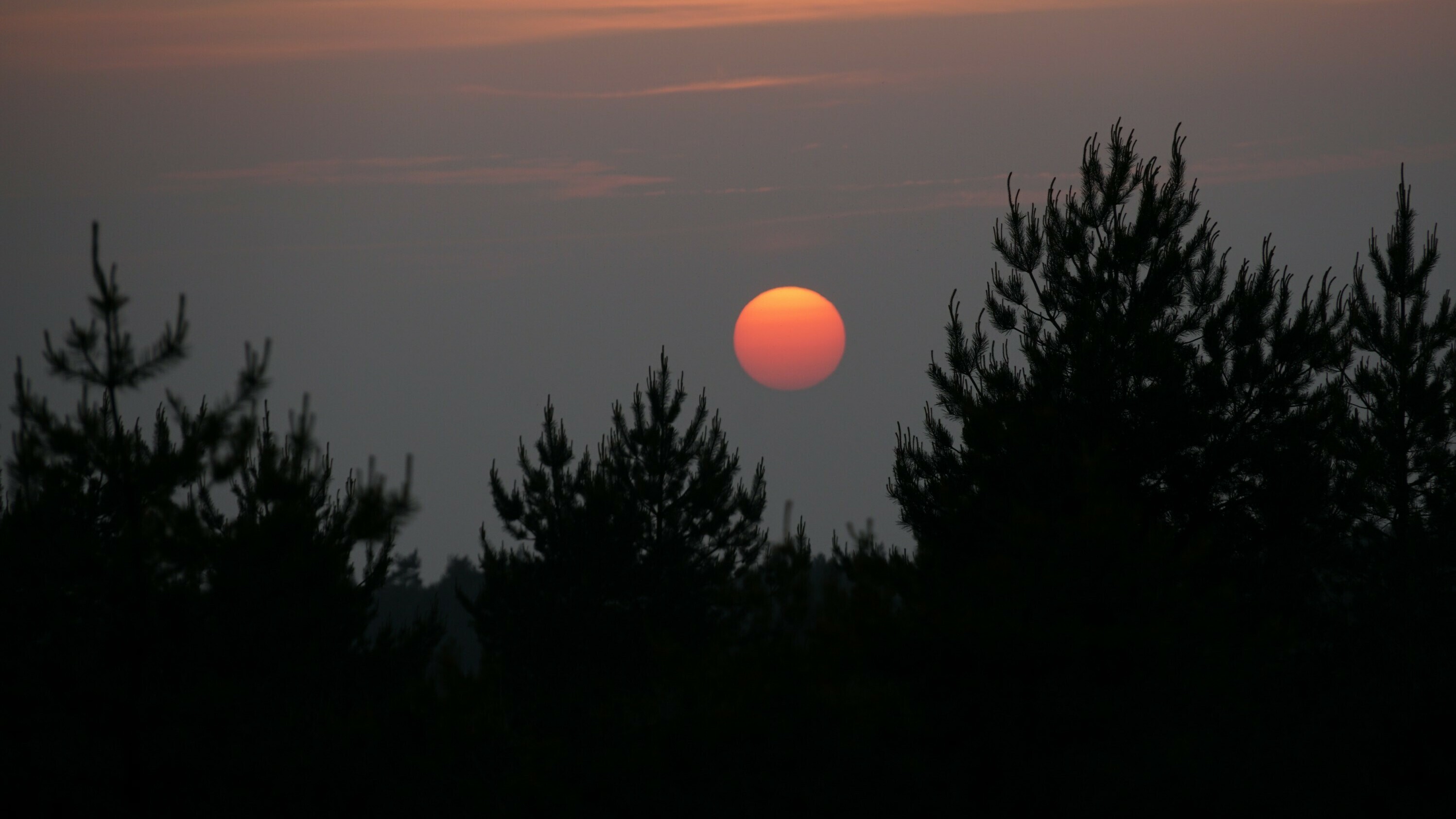 Wat is er dit weekend te doen in Drenthe?