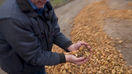 Johan en Cor willen geen aardappels weggooien