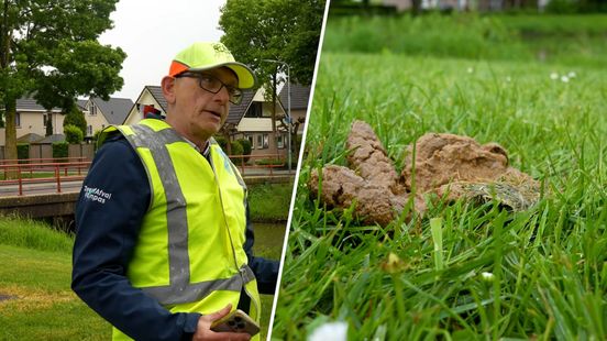 Jan ruimt hondenpoep op voor een schone buurt: 'Na zeventig drollen zaten de zakjes vol'