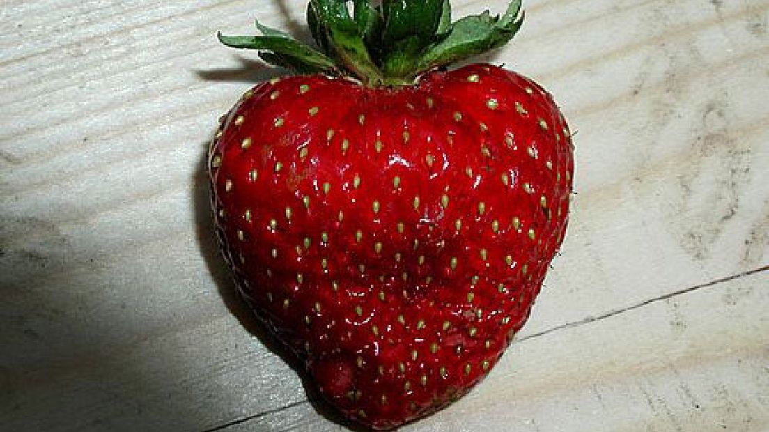 Aardbei en blauwe bes heel gezond