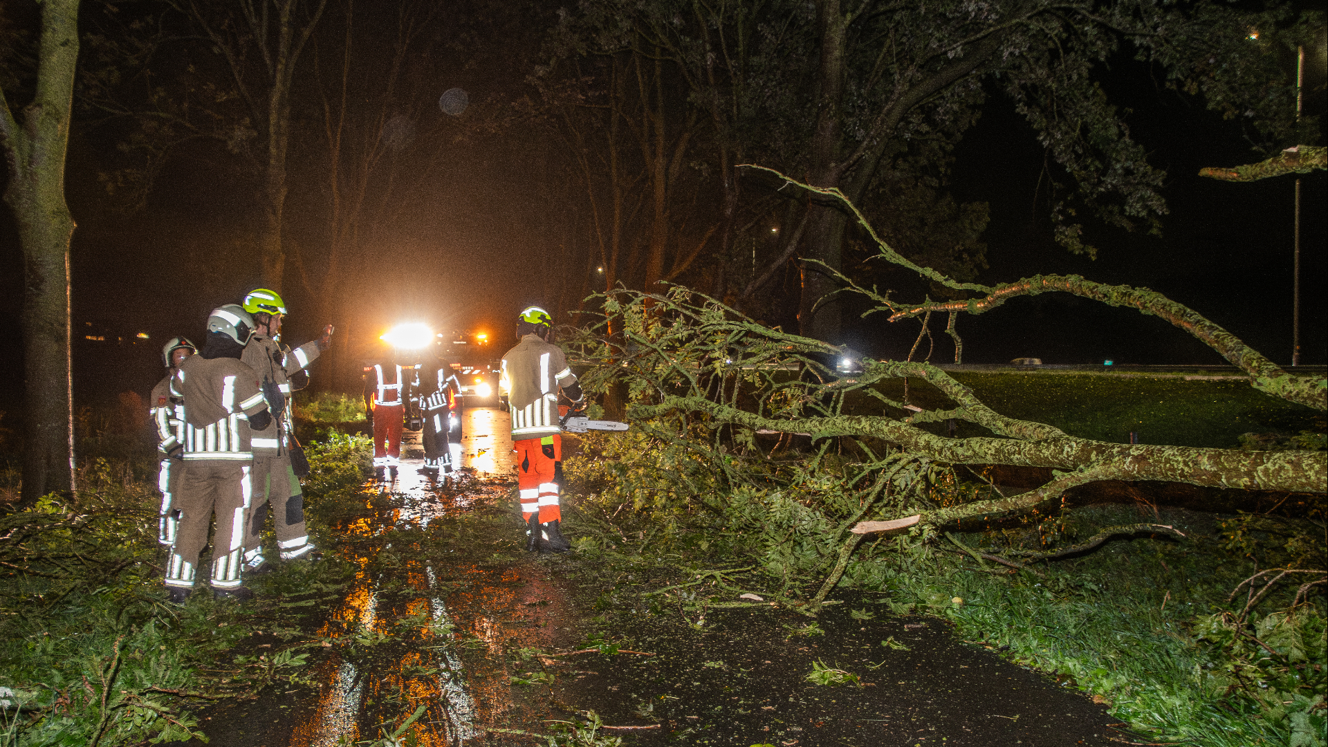 Auto rijdt tegen omgevallen boom in Woerden