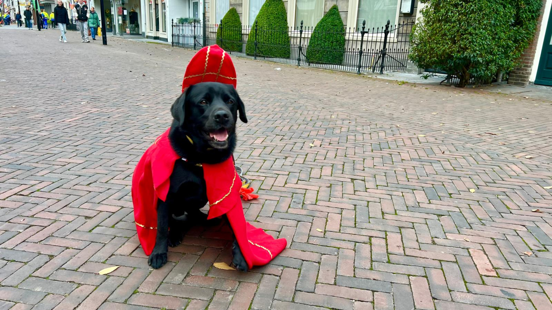 c922a18d-e13d-31a8-abc9-716cd3e64f1e.jpg?width=1104&height=620&aspect_ratio=1104:620&cb=859f76310a0fe96fc95b2f5cdf7f5e31