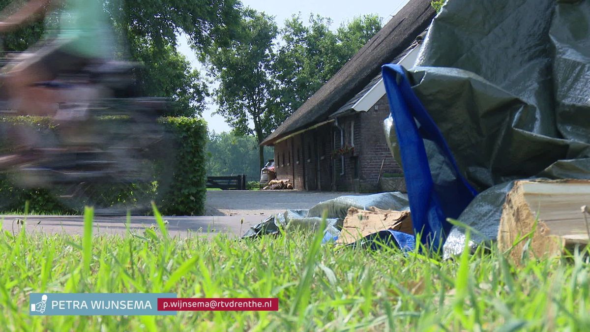 Wolf doodgeschoten na aanval op schapenboer in Wapse