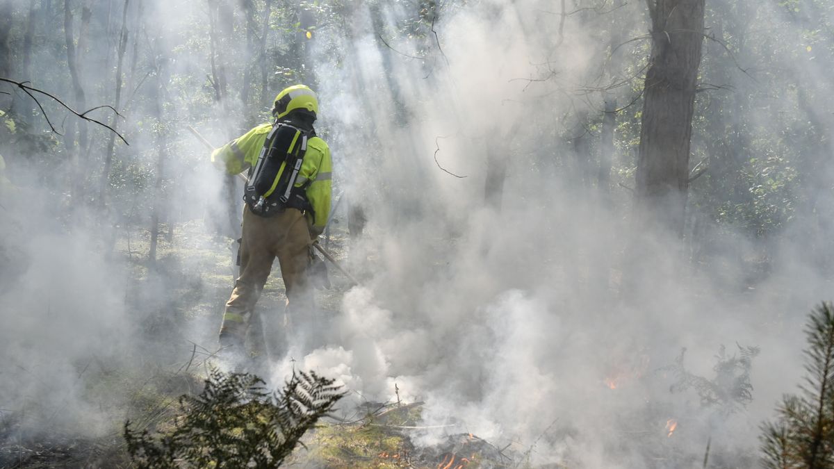Grote bosbrand in natuurgebied Vredepeel, vuur onder controle