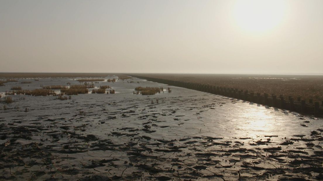 Stilte op het wad bij Noordpolderzijl