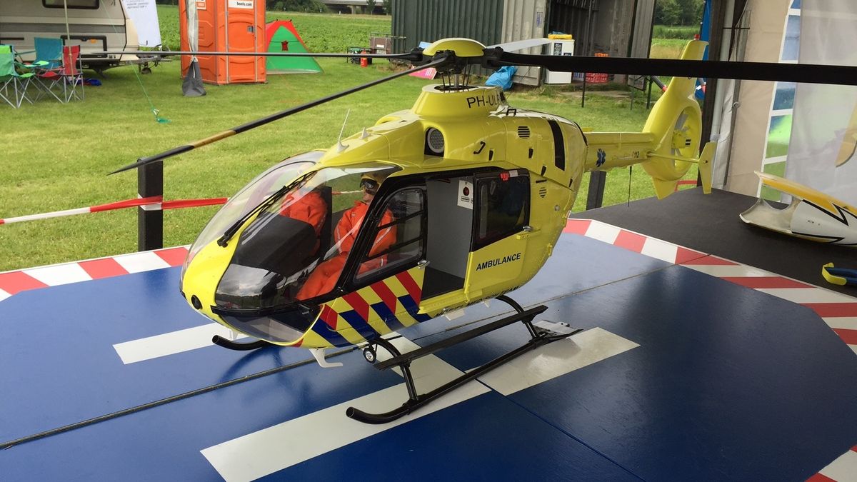 Figuren vliegen in een weiland bij Lewedorp (video)