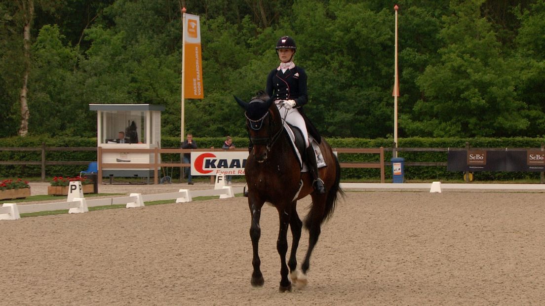 paardensport Dinja van Liere Hermès