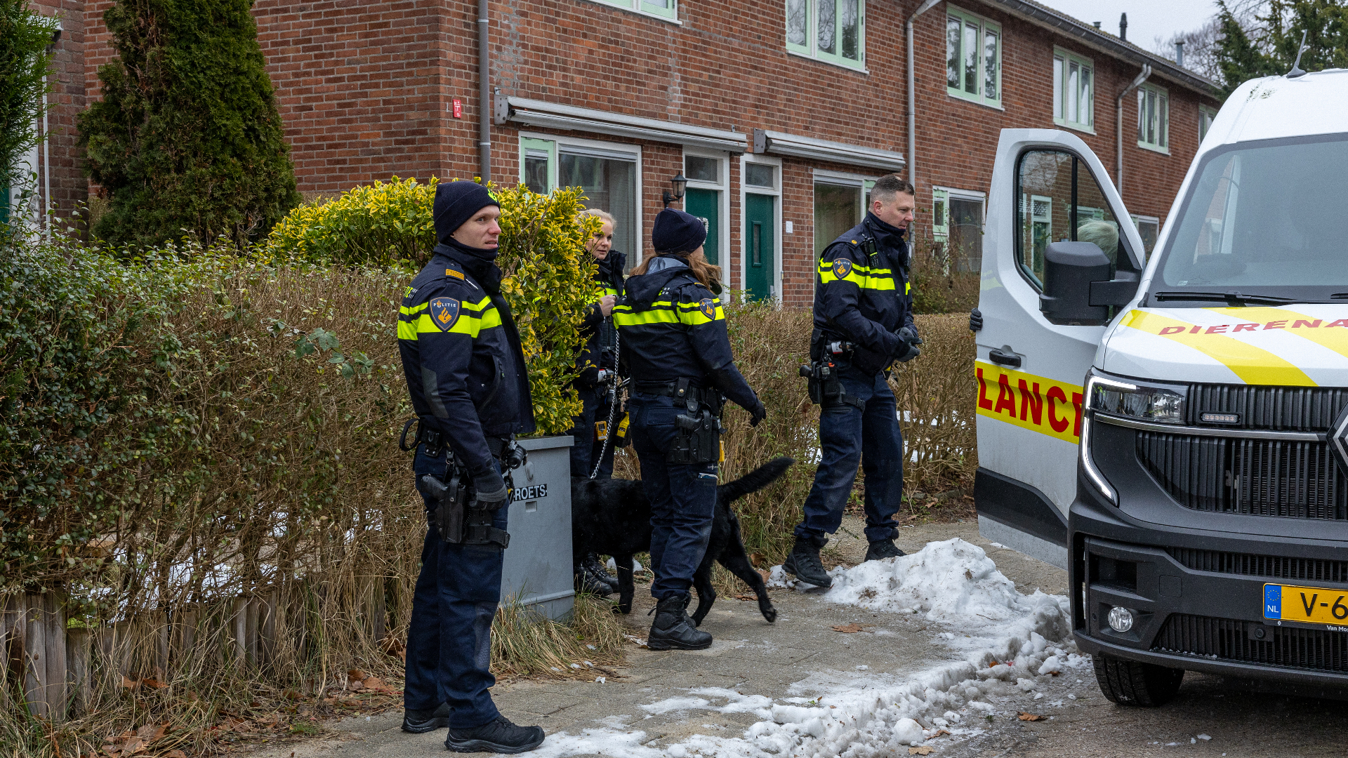 Politie draagt hond verdachte over aan dierenambulance.
