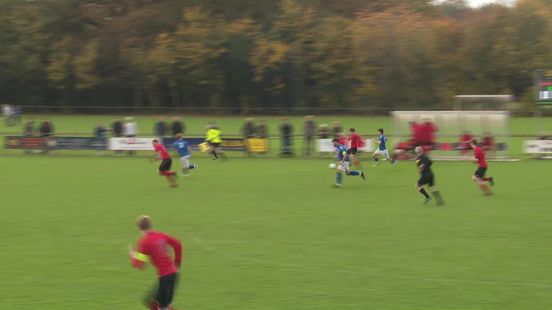 Samenvatting VIOS - Protos