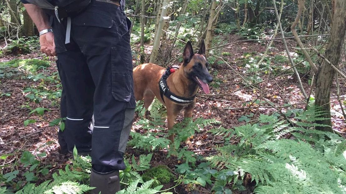 Zoeken met RescueDog