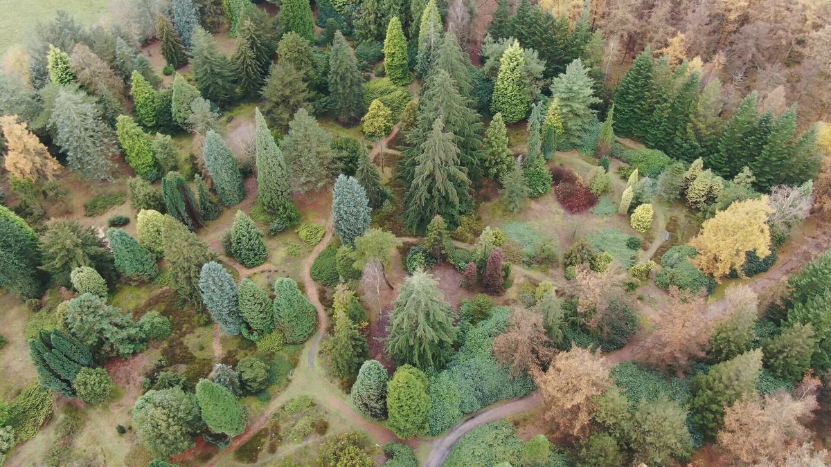 Vrijwilligers nodig om Pinetum Ter Borgh toekomstbestendig te maken