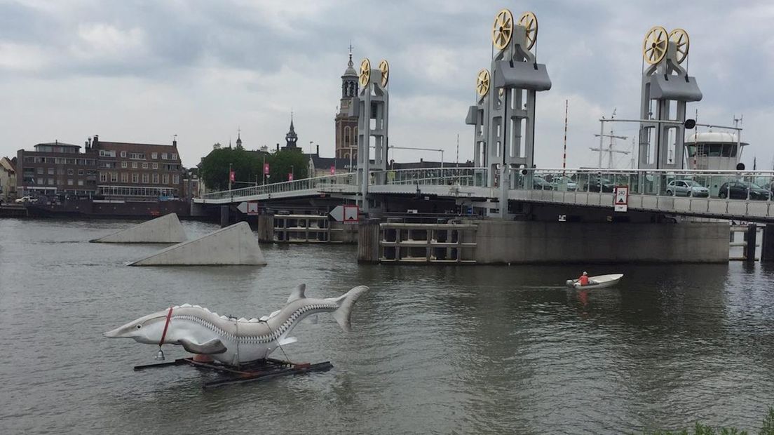 Gehavende Kamper Steur alsnog in het water tijdens de Hanzedagen in Kampen