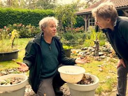Luc's Tuinsafari: in november vind je boskakkerlakken en mini schorpioenen in je eigen tuin