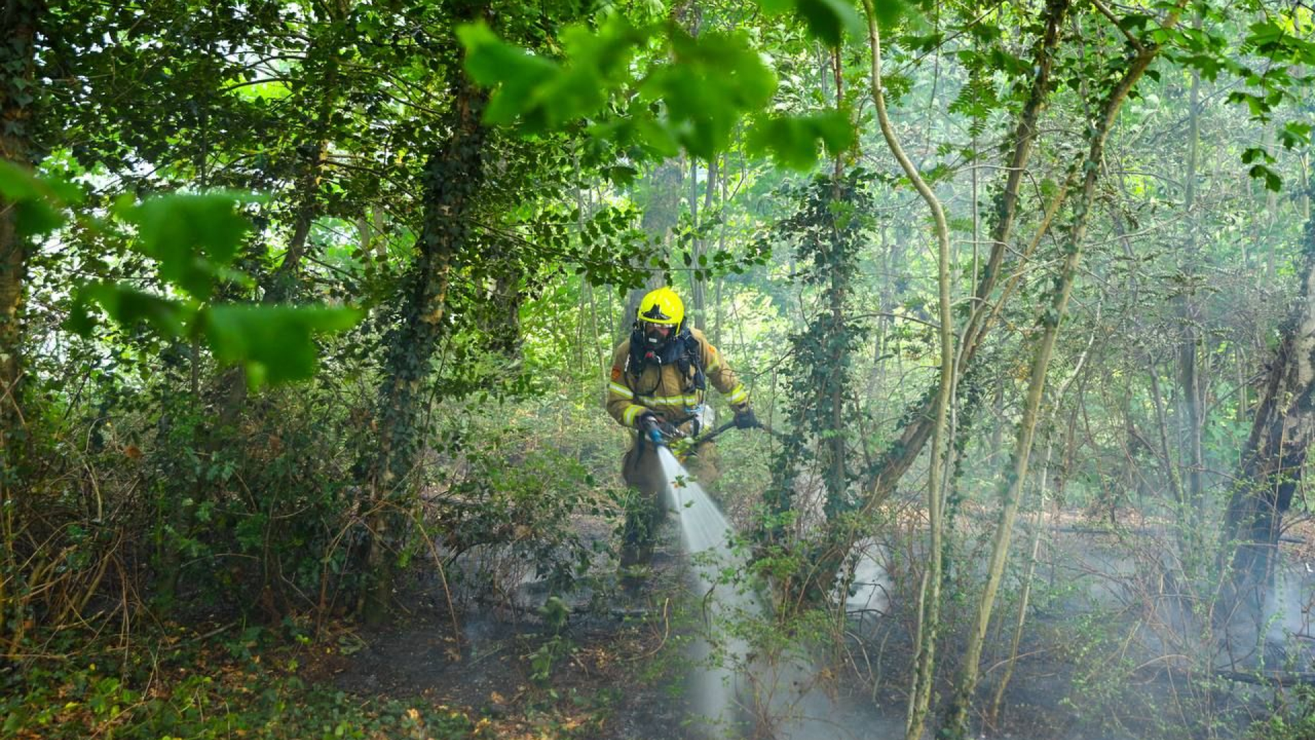 Stuk bos in brand in Apeldoorn, mogelijk aangestoken