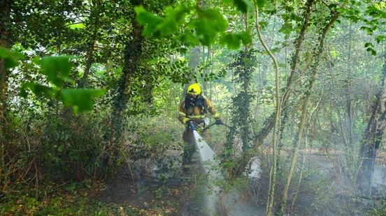 Vlammen slaan uit bos in Apeldoorn, vuur mogelijk aangestoken
