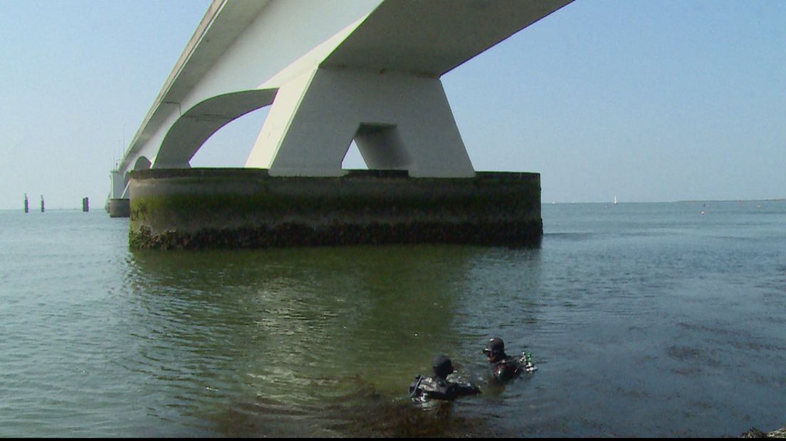 Onder de Zeelandbrug bij Zierikzee wordt door tientallen mensen gedoken