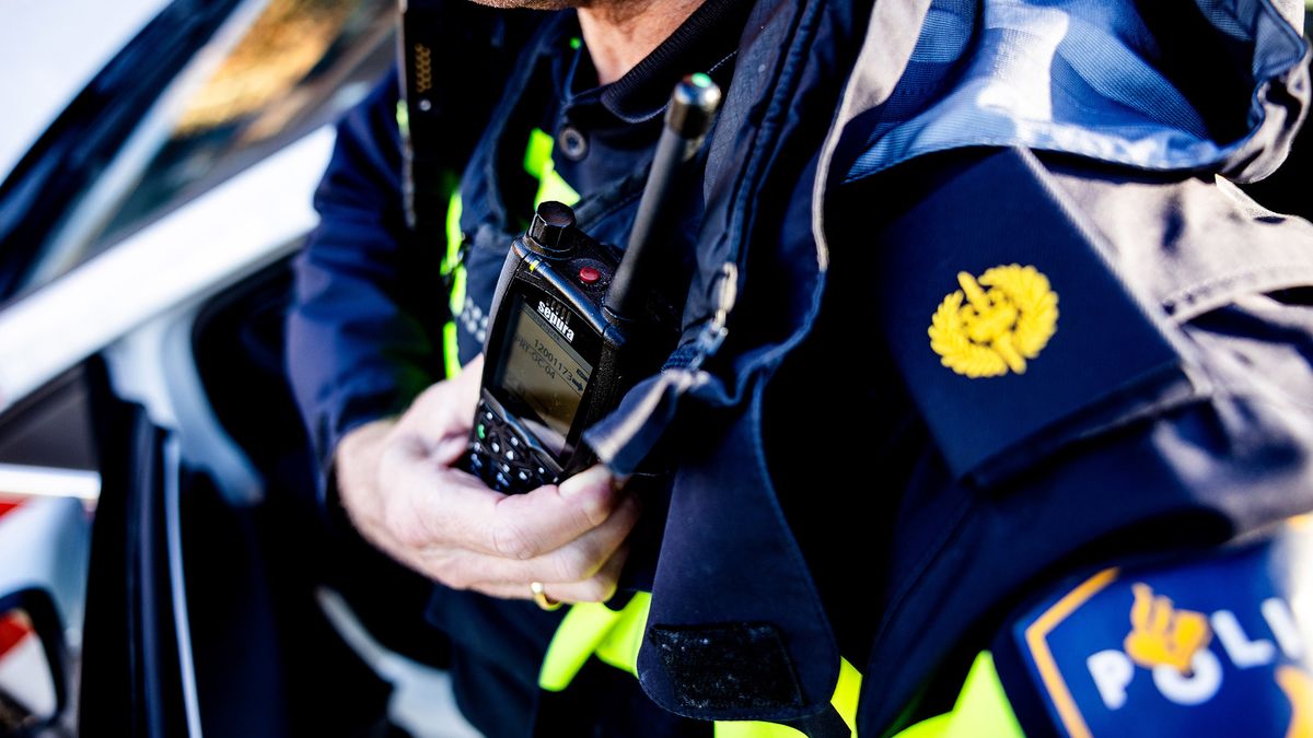 Jongeren vliegen elkaar in de haren in Renesse