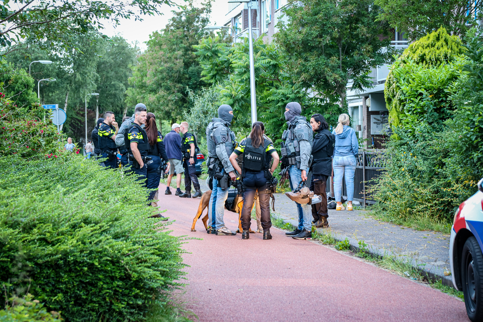 De verdachte werd gebeten door een politiehond.