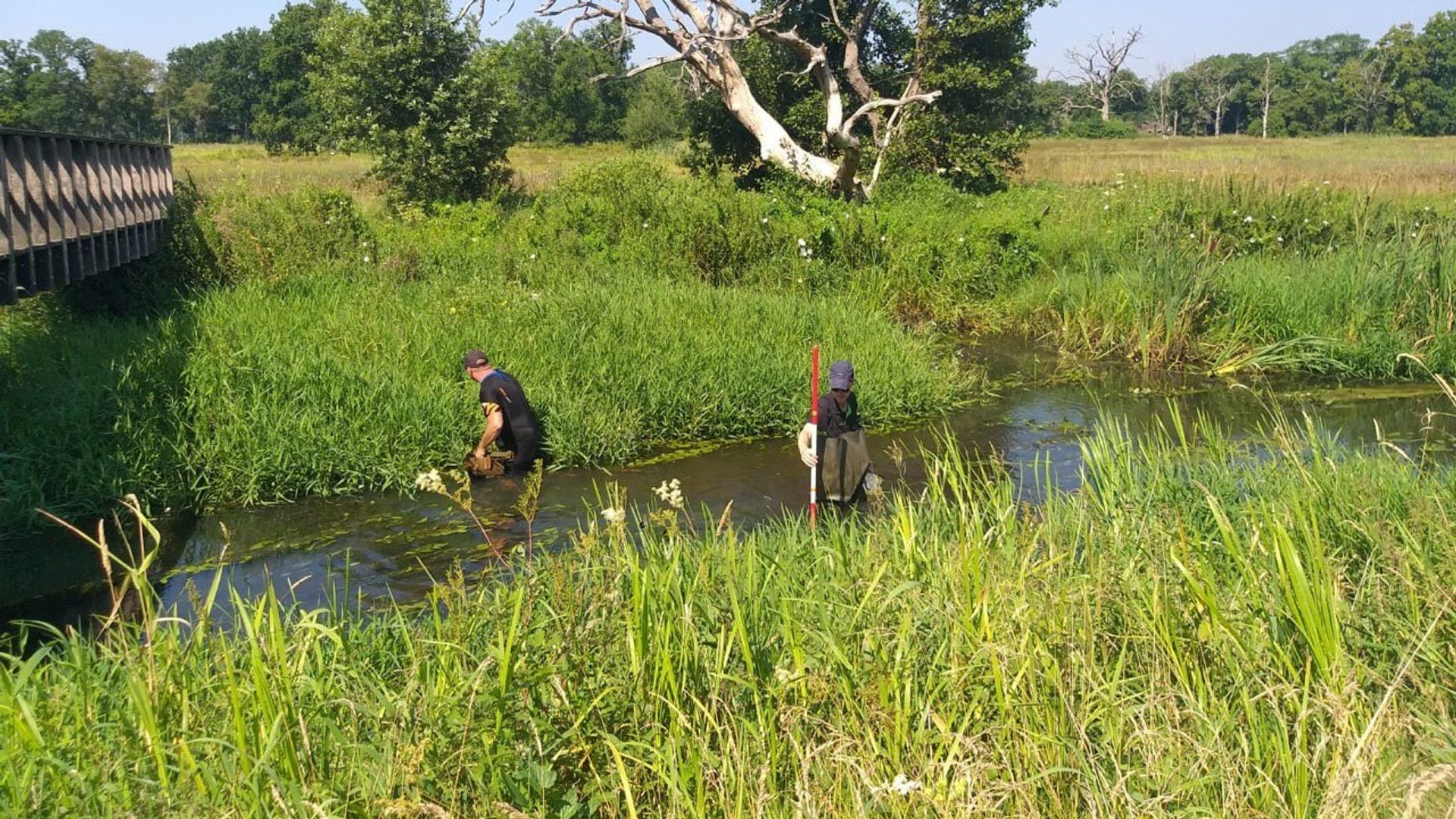 Waterschap Hunze En Aa's & ROEG! - RTV Drenthe