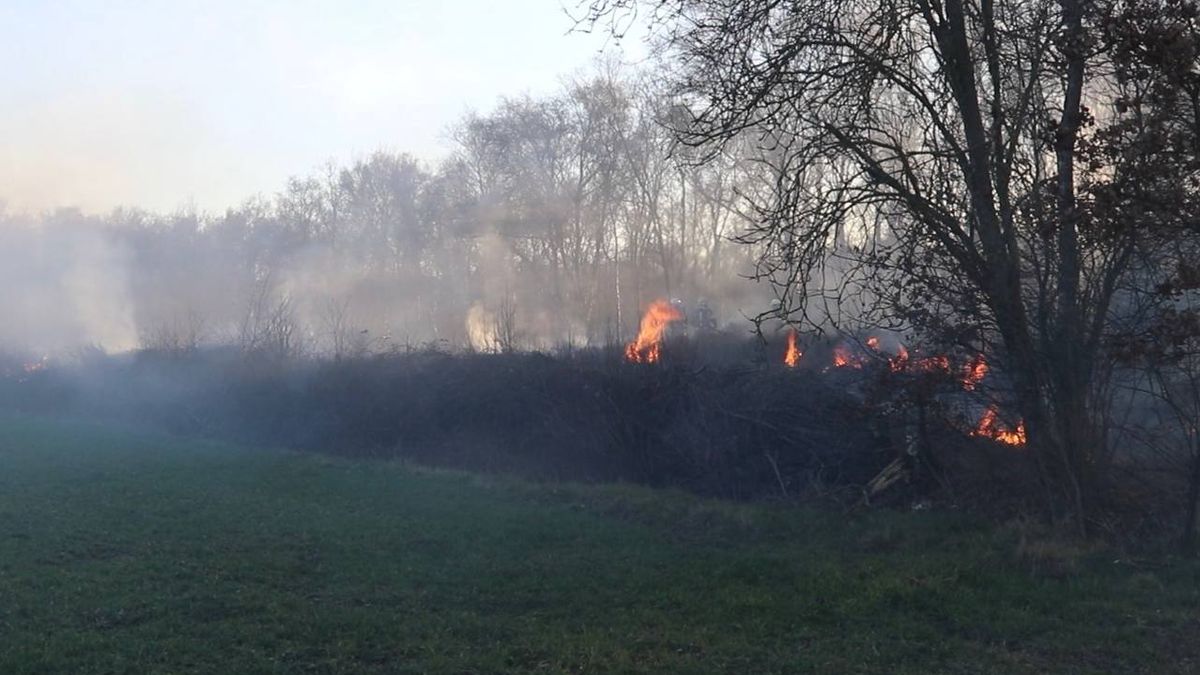 Natuurbrand in Westerhaar-Vriezenveensewijk, flink stuk heideveld brandt af