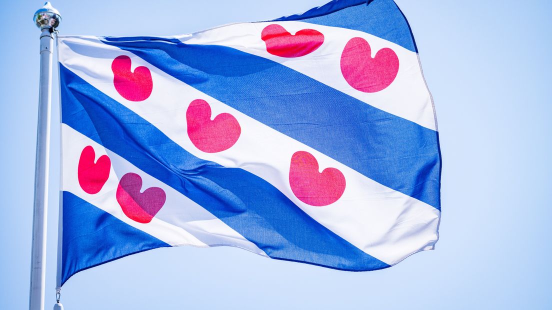 Friese vlag