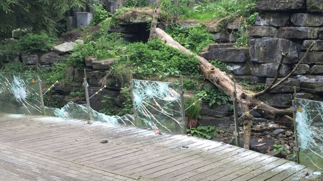 Onder meer het glas bij het berenverblijf werd vernield (Rechten: Politie Zuidoost-Drenthe)
