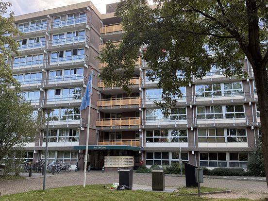 PVV Assen knutselt met AI nepartikel van Asser Courant in elkaar: 'Hadden we niet moeten doen'