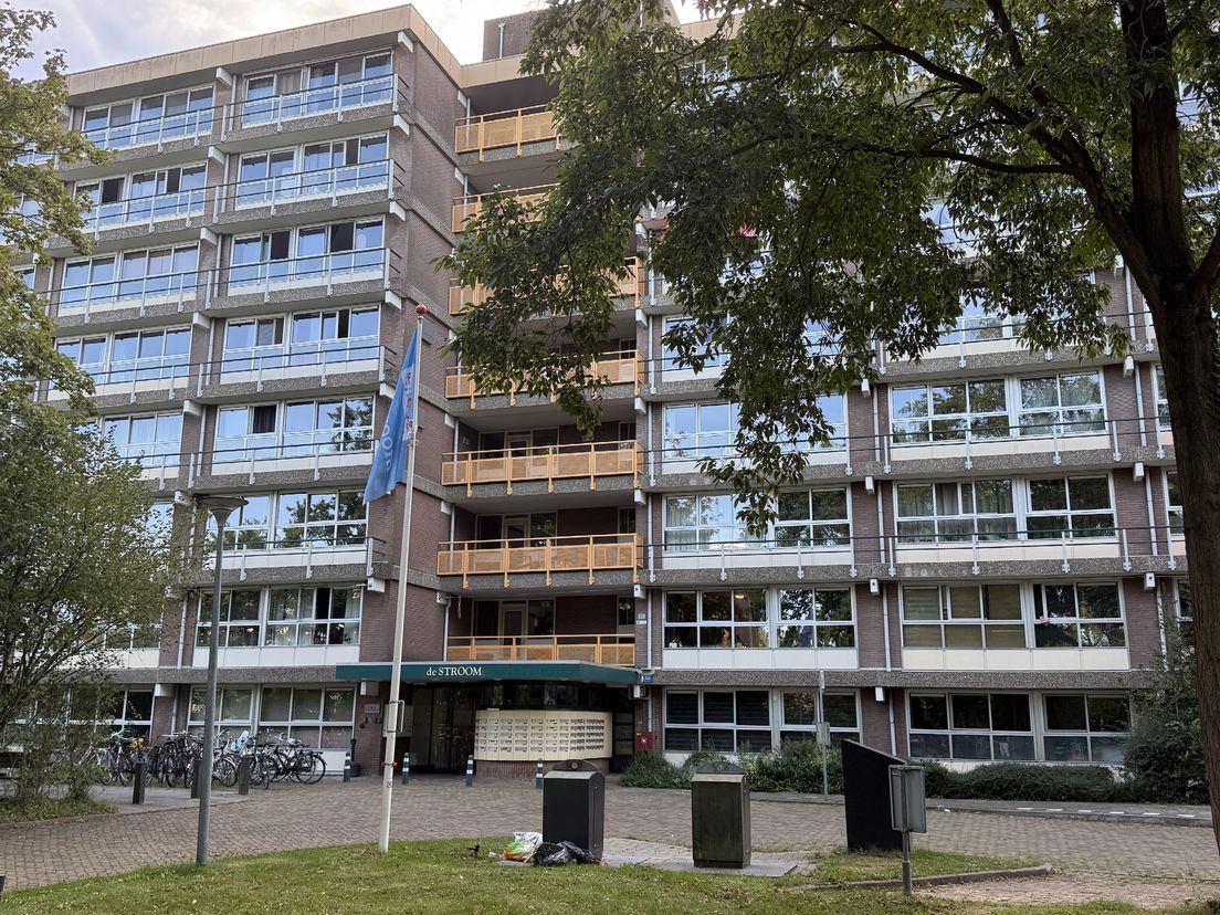PVV Assen knutselt met AI nepartikel van Asser Courant in elkaar: 'Hadden we niet moeten doen'